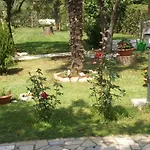 Licul Modern Retreat Kukci