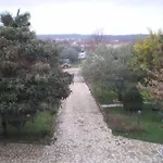 Licul Modern Retreat Tatil Evi