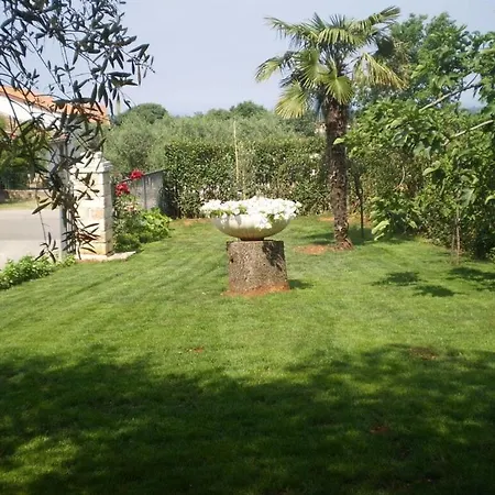 Licul Modern Retreat Kukci