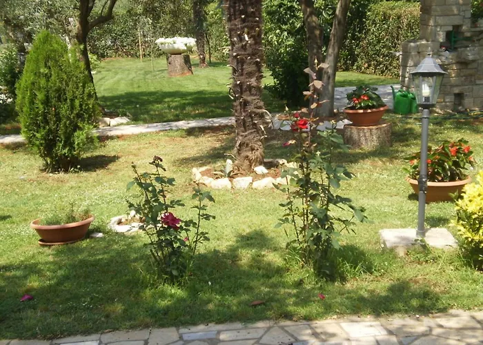 Licul Modern Retreat Kukci