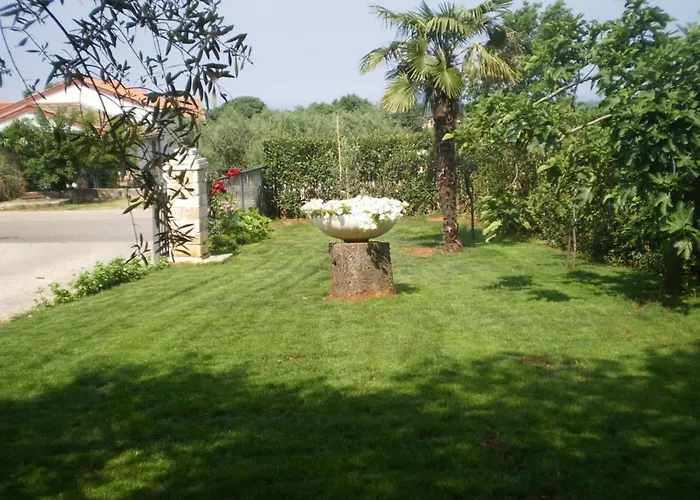 Licul Modern Retreat *