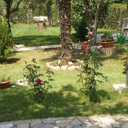 Holiday home Licul Modern Retreat *