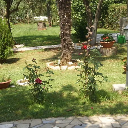 Licul Modern Retreat Kukci
